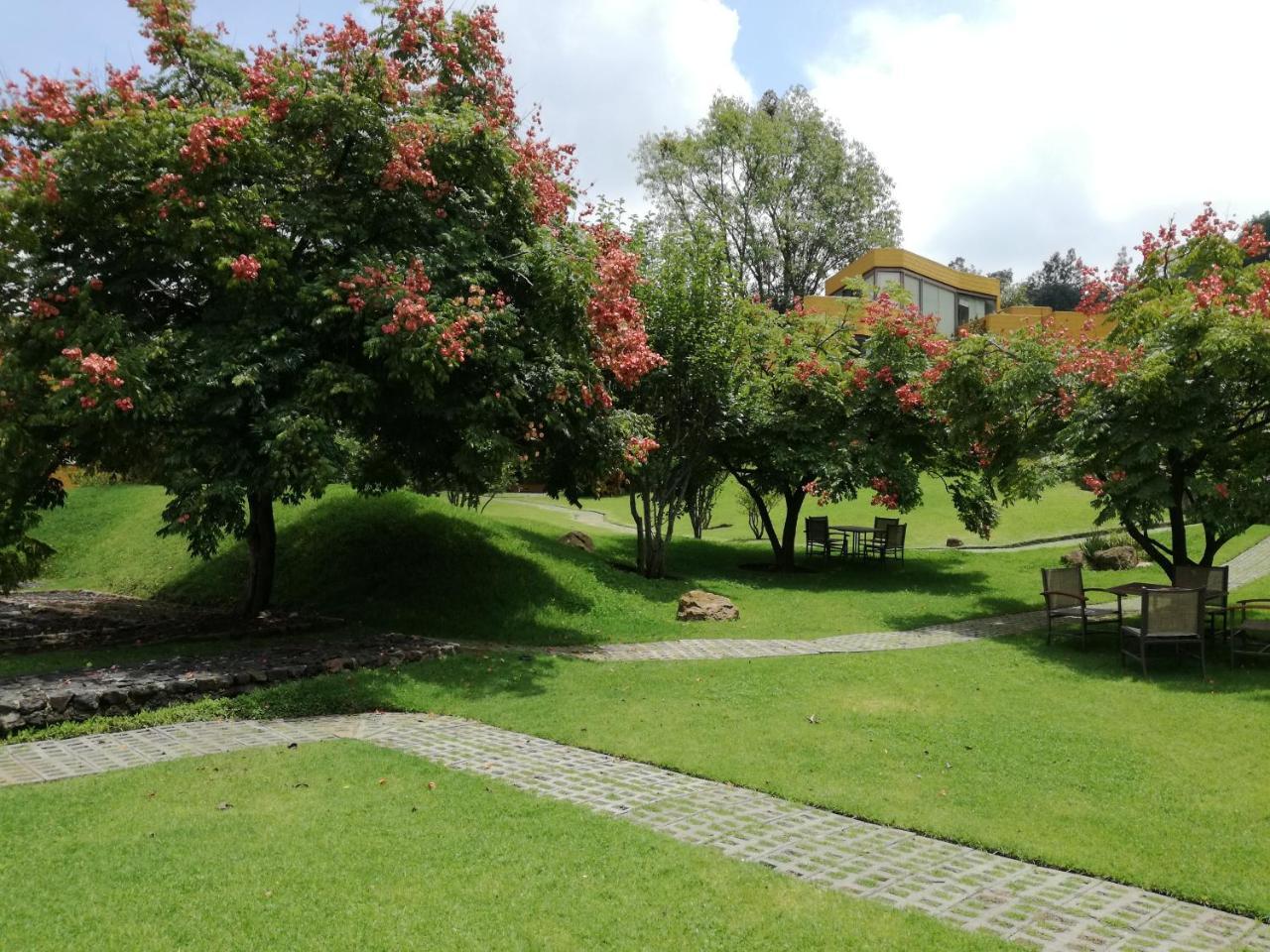 Hotel Casa En El Campo 莫雷利亚 外观 照片